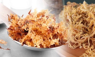 Ирландски морски мъх — ползи и приложения