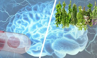 Каква е разликата между синтетични и естествени ноотропици